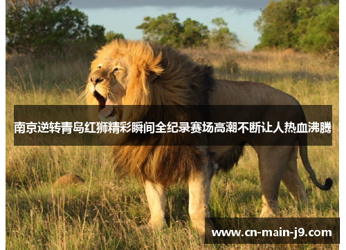 南京逆转青岛红狮精彩瞬间全纪录赛场高潮不断让人热血沸腾