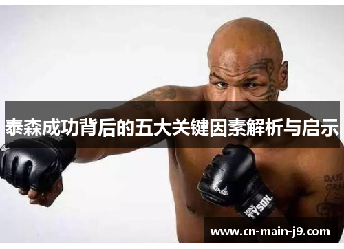 泰森成功背后的五大关键因素解析与启示