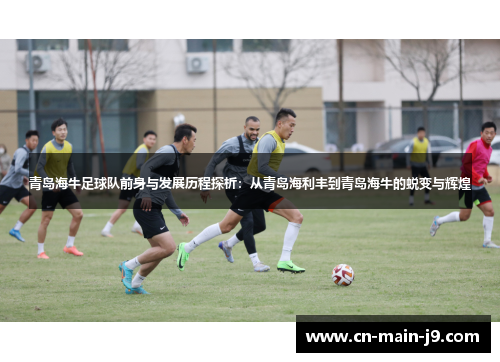 青岛海牛足球队前身与发展历程探析：从青岛海利丰到青岛海牛的蜕变与辉煌