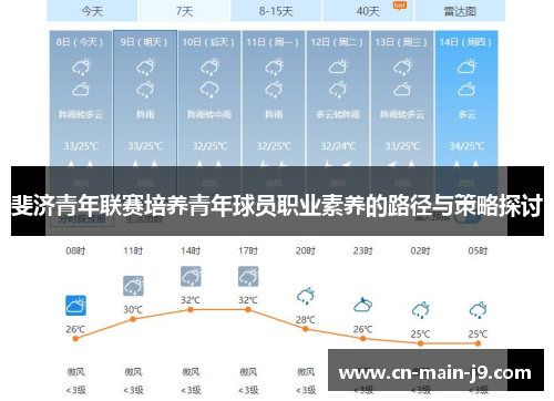 斐济青年联赛培养青年球员职业素养的路径与策略探讨