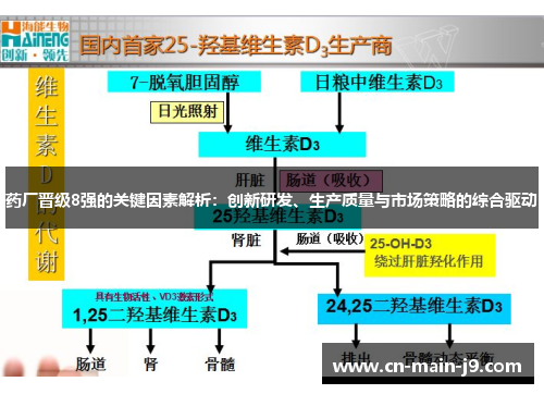 药厂晋级8强的关键因素解析：创新研发、生产质量与市场策略的综合驱动