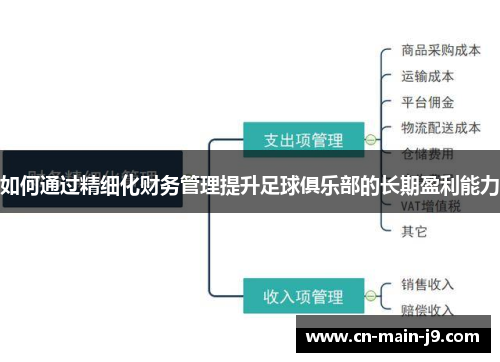 如何通过精细化财务管理提升足球俱乐部的长期盈利能力