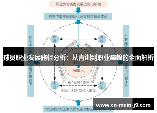 球员职业发展路径分析：从青训到职业巅峰的全面解析